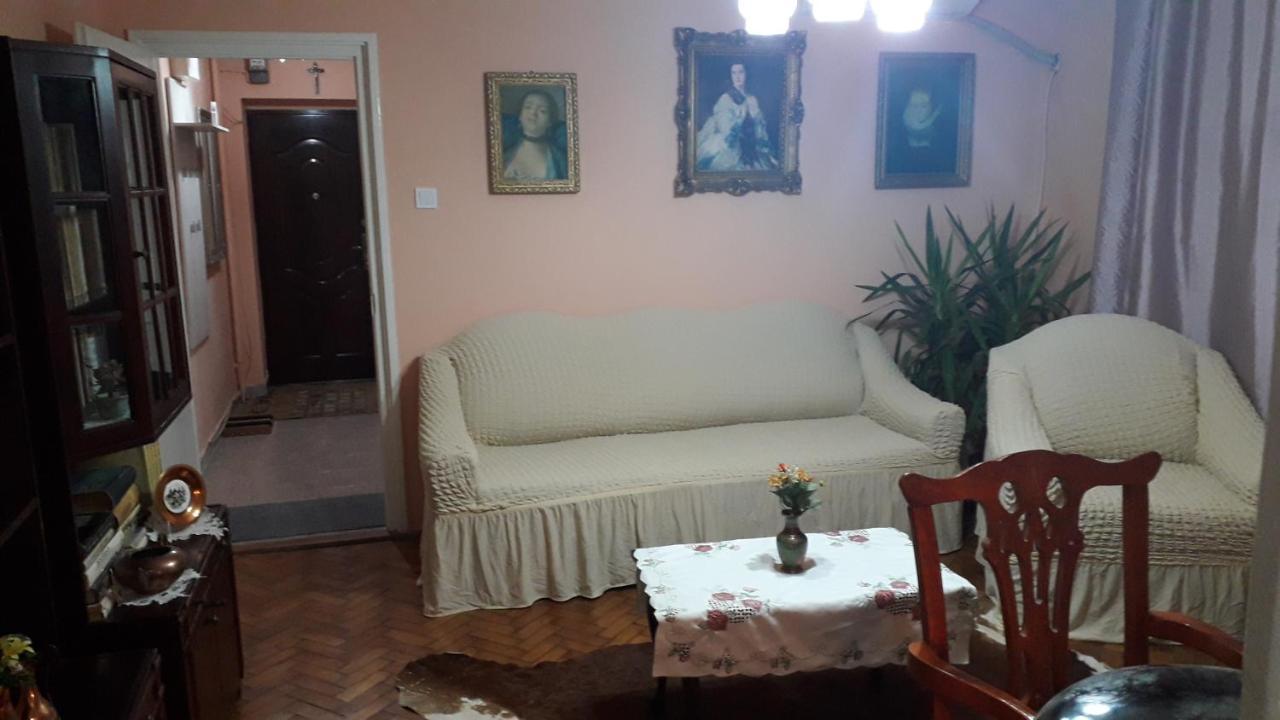 Cozy, Central 1-Bedroom Apartment In Timisoara, Romania Exterior foto